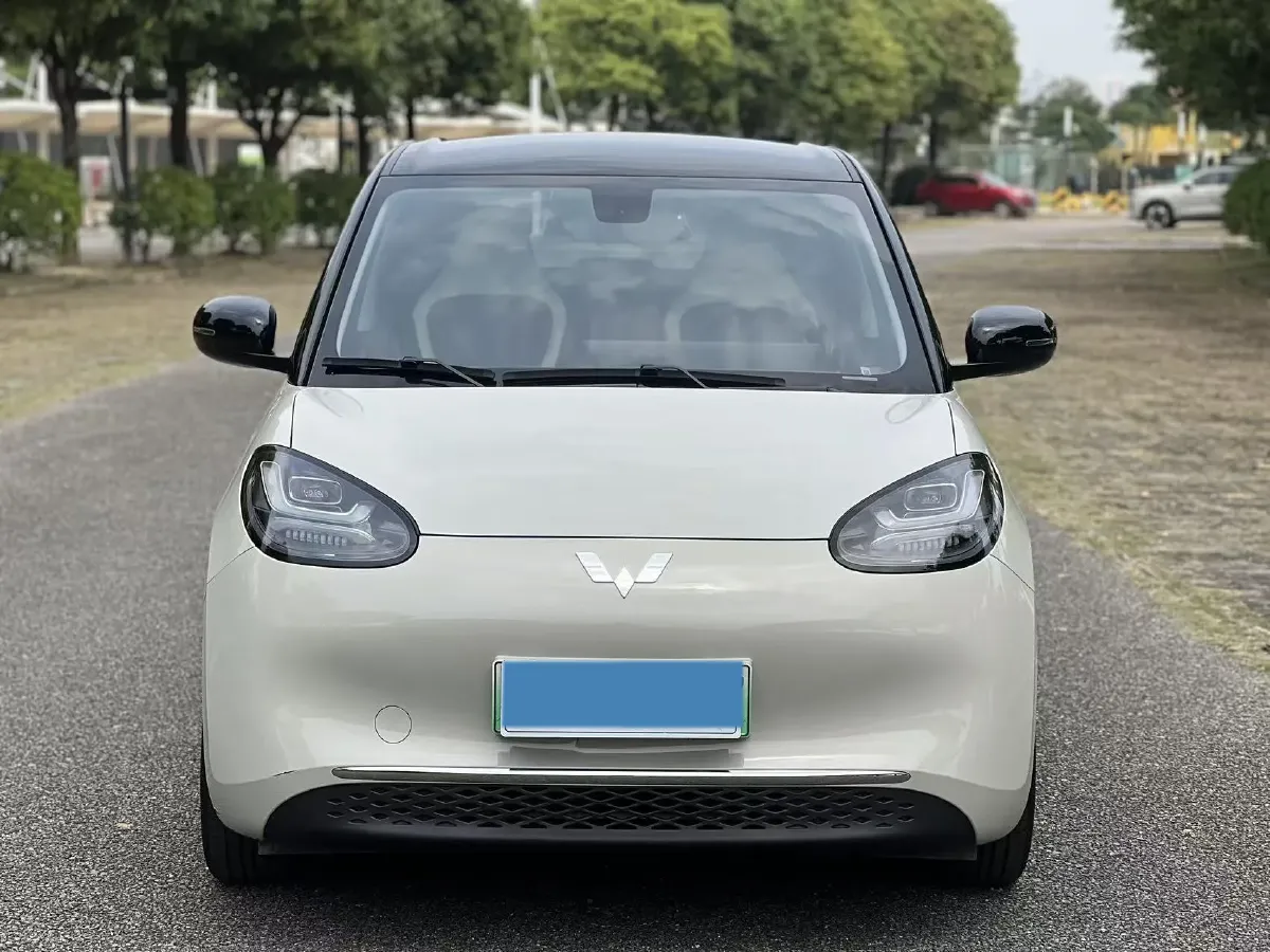 2023 WuLing BinGuo BEV 37.9KWH,autocango,china used car exporter,china ev exporter,chinese used car exporter,chinese used ev exporter