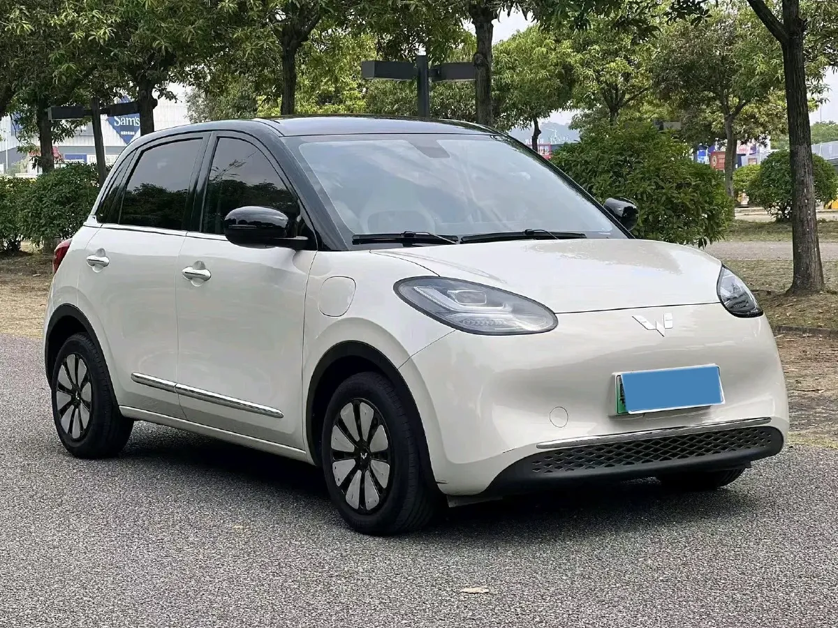2023 WuLing BinGuo BEV 37.9KWH,autocango,china used car exporter,china ev exporter,chinese used car exporter,chinese used ev exporter