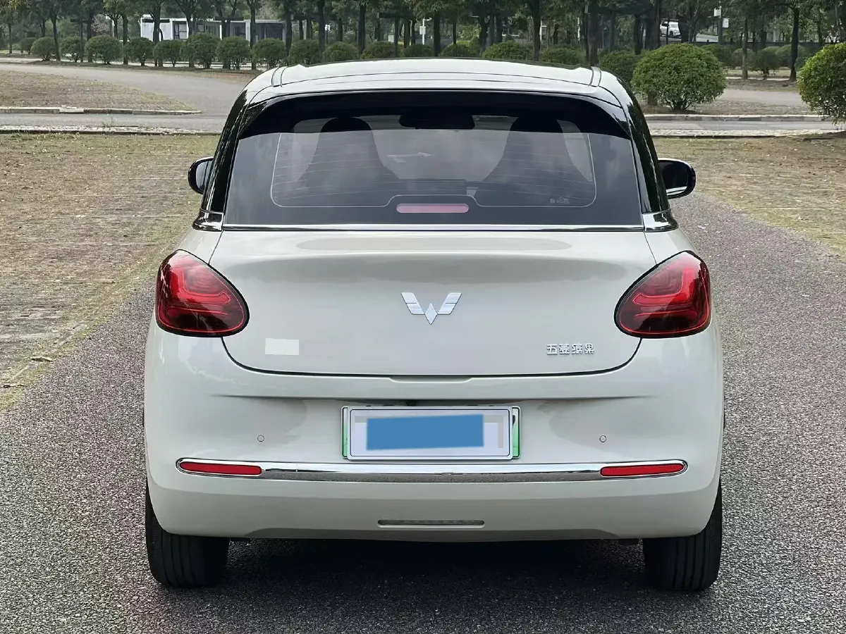 2023 WuLing BinGuo BEV 37.9KWH,autocango,china used car exporter,china ev exporter,chinese used car exporter,chinese used ev exporter