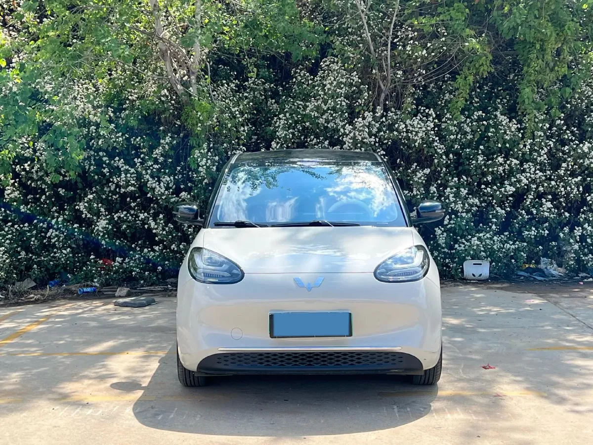 2024 WuLing BinGuo BEV 31.9KWH,autocango,china used car exporter,china ev exporter,chinese used car exporter,chinese used ev exporter
