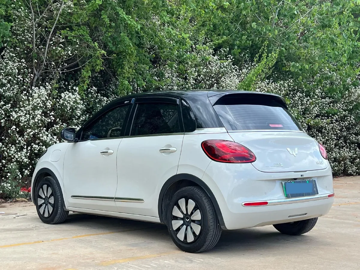 2024 WuLing BinGuo BEV 31.9KWH,autocango,china used car exporter,china ev exporter,chinese used car exporter,chinese used ev exporter