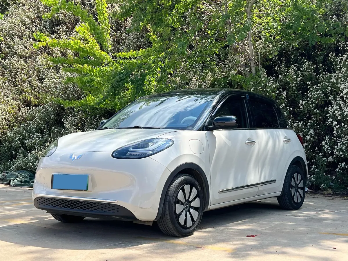 2024 WuLing BinGuo BEV 31.9KWH,autocango,china used car exporter,china ev exporter,chinese used car exporter,chinese used ev exporter