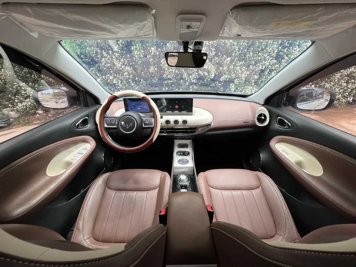 2024 WuLing BinGuo BEV 31.9KWH,autocango,china used car exporter,china ev exporter,chinese used car exporter,chinese used ev exporter