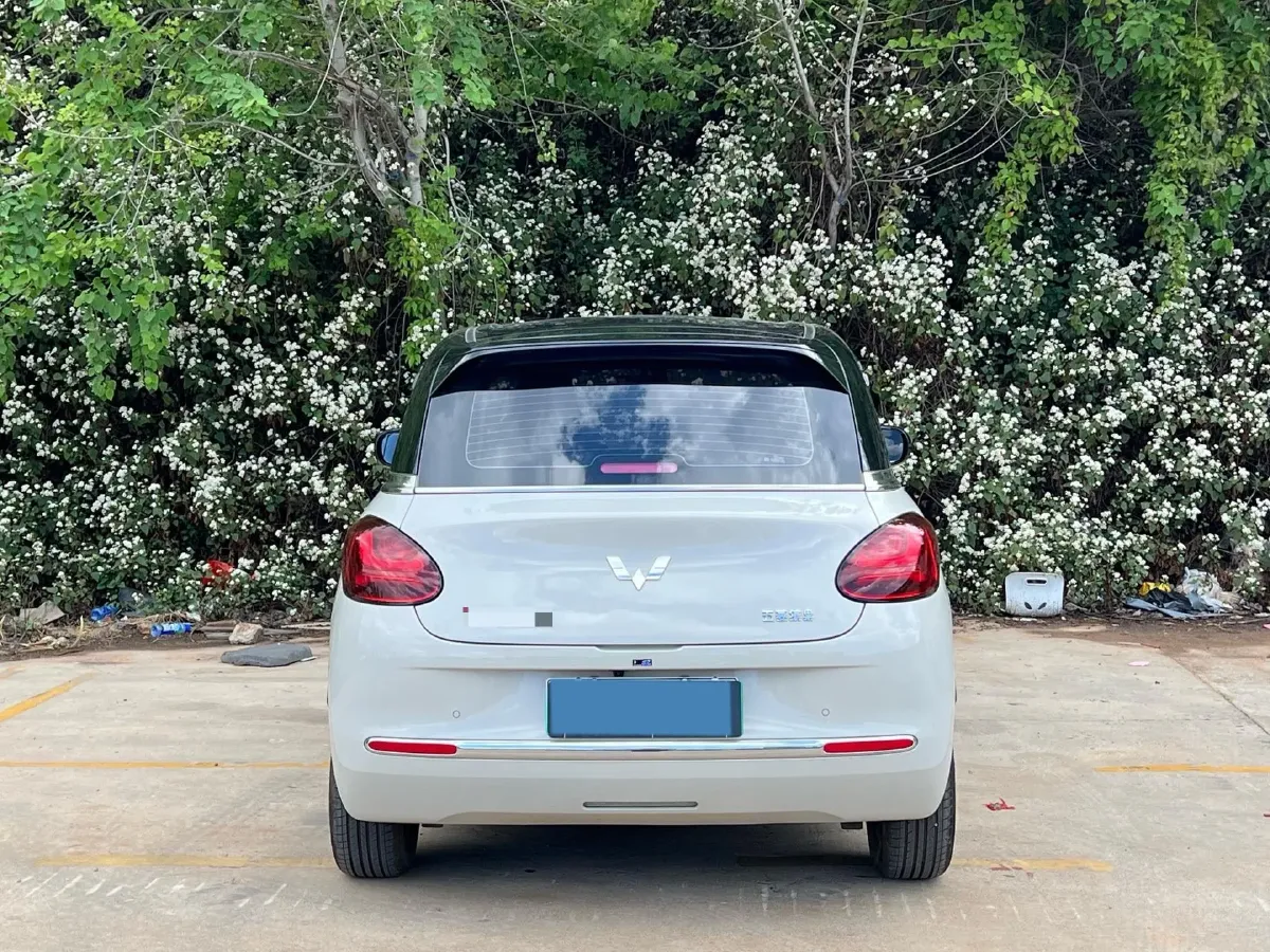 2024 WuLing BinGuo BEV 31.9KWH,autocango,china used car exporter,china ev exporter,chinese used car exporter,chinese used ev exporter