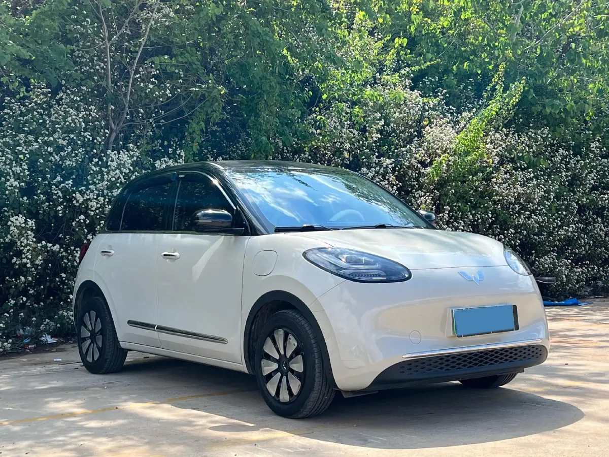 2024 WuLing BinGuo BEV 31.9KWH,autocango,china used car exporter,china ev exporter,chinese used car exporter,chinese used ev exporter