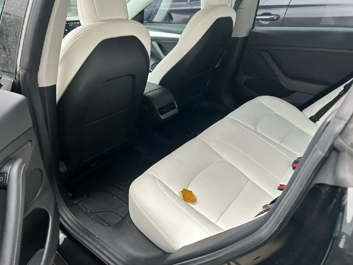 2021 Tesla Model 3 BEV 76.8KWH,autocango,china used car exporter,china ev exporter,chinese used car exporter,chinese used ev exporter