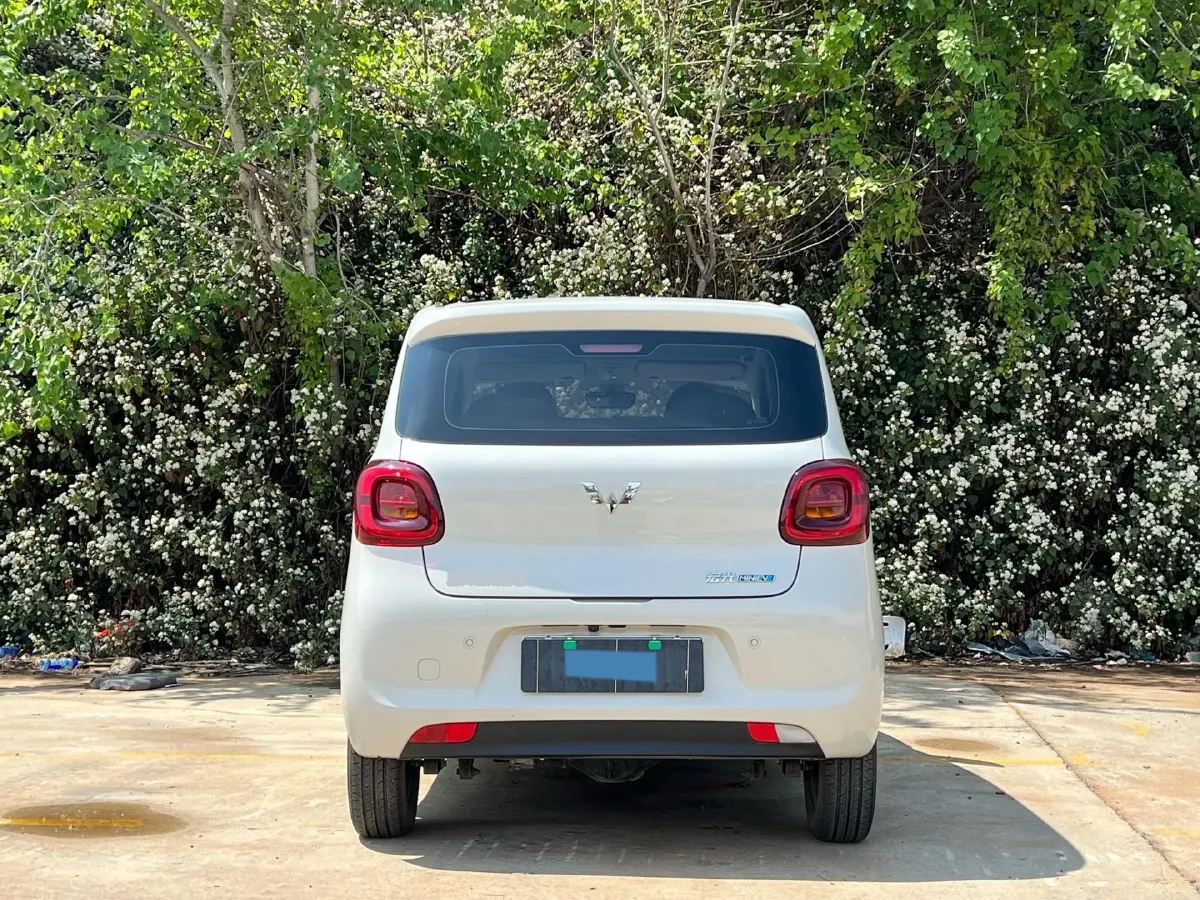 2025 WuLing HongGuang MINI EV BEV 16.2KWH,autocango,china used car exporter,china ev exporter,chinese used car exporter,chinese used ev exporter
