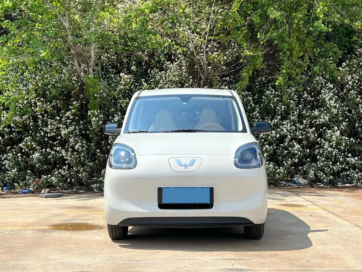 2025 WuLing HongGuang MINI EV BEV 16.2KWH,autocango,china used car exporter,china ev exporter,chinese used car exporter,chinese used ev exporter