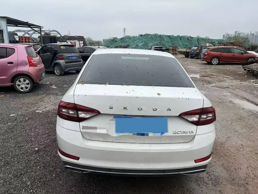 2020 Skoda Octavia 1.5L 113HP L4 6AT,autocango,china used car exporter,china ev exporter,chinese used car exporter,chinese used ev exporter