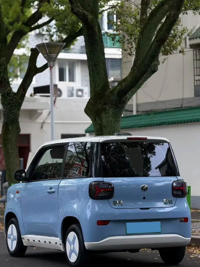 2024 ZD Rainbow BEV 17.3KWH,autocango,china used car exporter,china ev exporter,chinese used car exporter,chinese used ev exporter