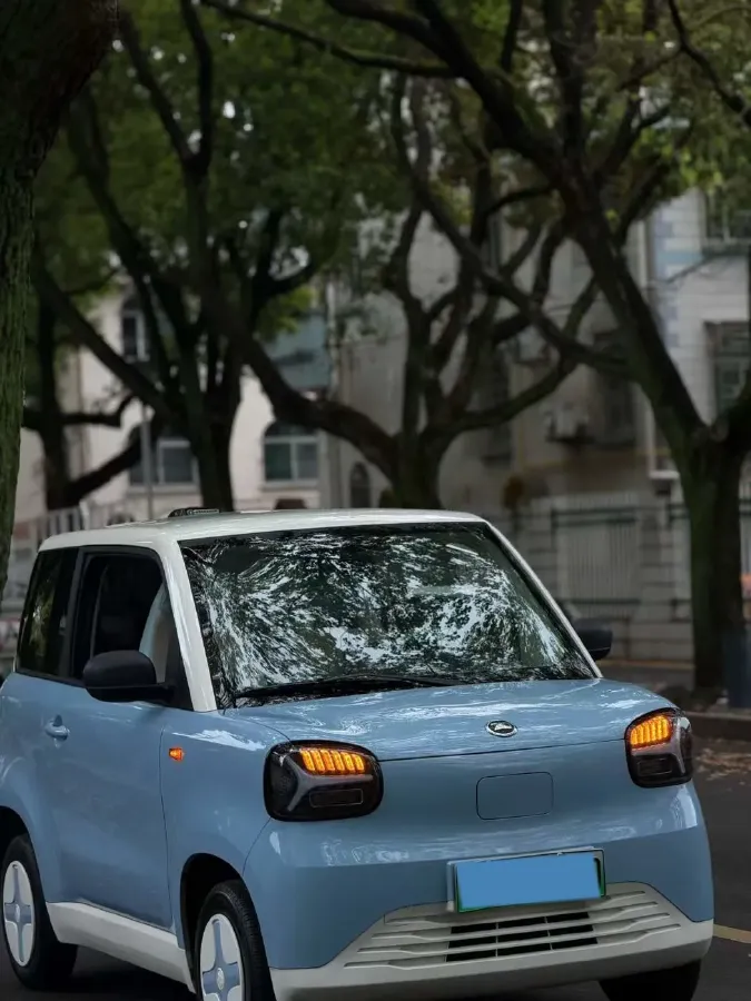 2024 ZD Rainbow BEV 17.3KWH,autocango,china used car exporter,china ev exporter,chinese used car exporter,chinese used ev exporter