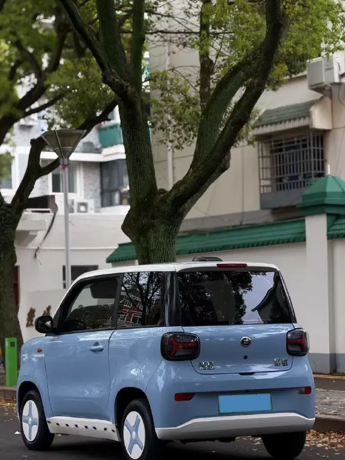 2024 ZD Rainbow BEV 17.3KWH,autocango,china used car exporter,china ev exporter,chinese used car exporter,chinese used ev exporter