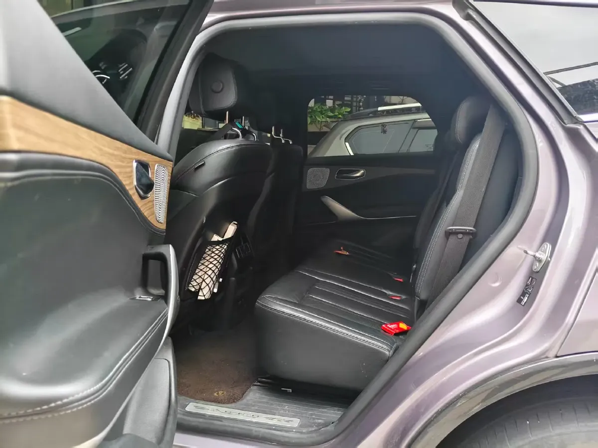 2020 Denza X 2.0T 192HP L4 6DCT PHEV 24KWH,autocango,china used car exporter,china ev exporter,chinese used car exporter,chinese used ev exporter