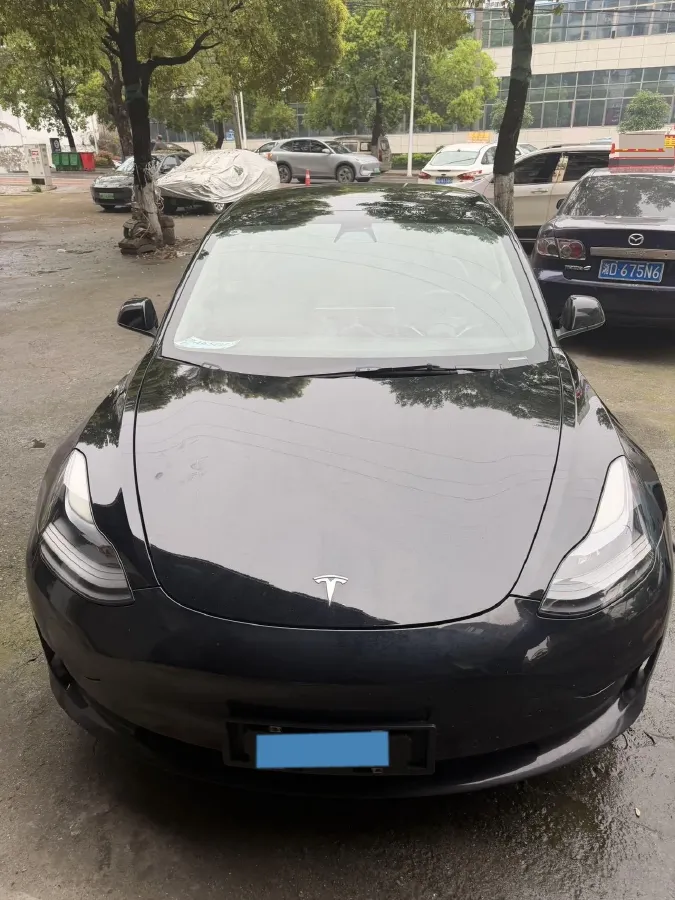 2021 Tesla Model 3 BEV 55KWH,autocango,china used car exporter,china ev exporter,chinese used car exporter,chinese used ev exporter