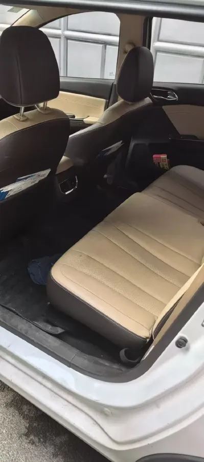 2019 Golden Dragon New Era Sea Lion 2.0L 102HP L4 5MT,autocango,china used car exporter,china ev exporter,chinese used car exporter,chinese used ev exporter