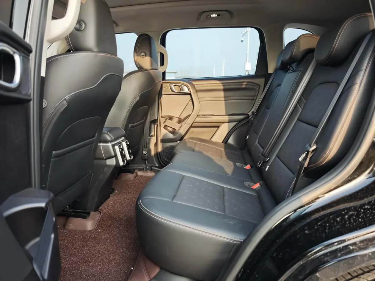 2024 Haval Dargo 2.0T 238HP L4 9DCT,autocango,china used car exporter,china ev exporter,chinese used car exporter,chinese used ev exporter