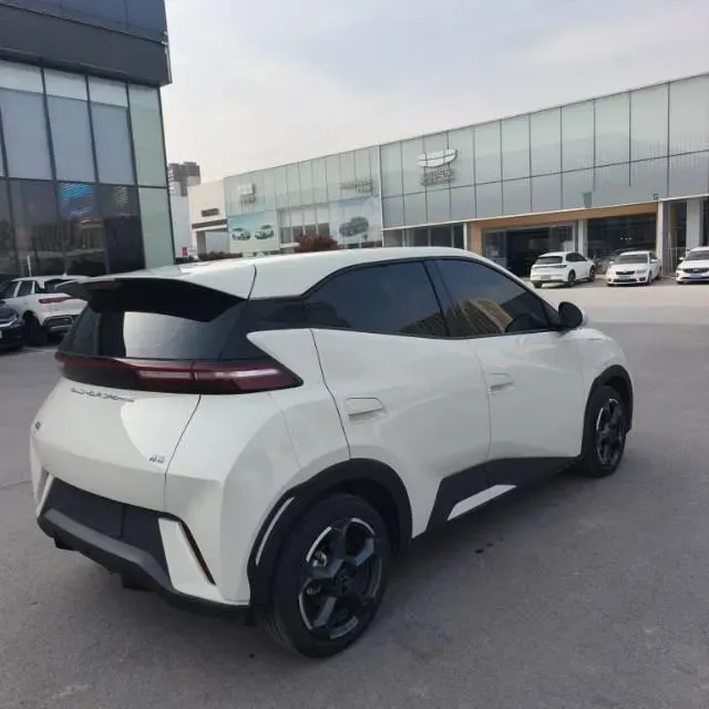 2023 BYD Seagull BEV 30.08KWH,autocango,china used car exporter,china ev exporter,chinese used car exporter,chinese used ev exporter