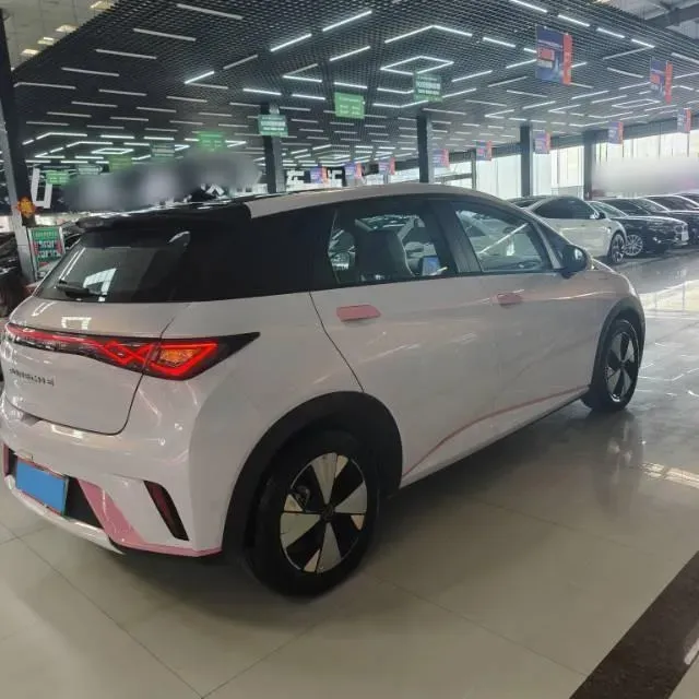 2023 BYD Dolphin BEV 44.928KWH,autocango,china used car exporter,china ev exporter,chinese used car exporter,chinese used ev exporter