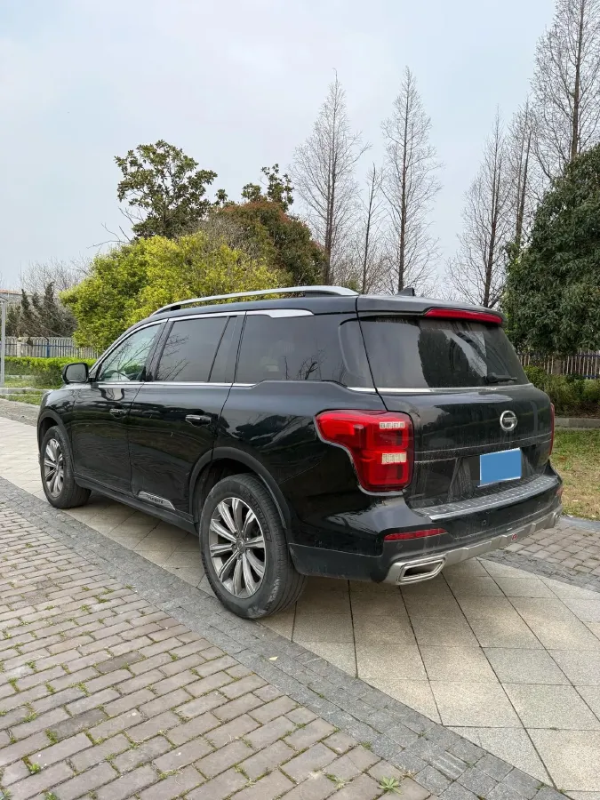 2020 GAC Trumpchi GS8 2.0T 252HP L4 6AT,autocango,china used car exporter,china ev exporter,chinese used car exporter,chinese used ev exporter