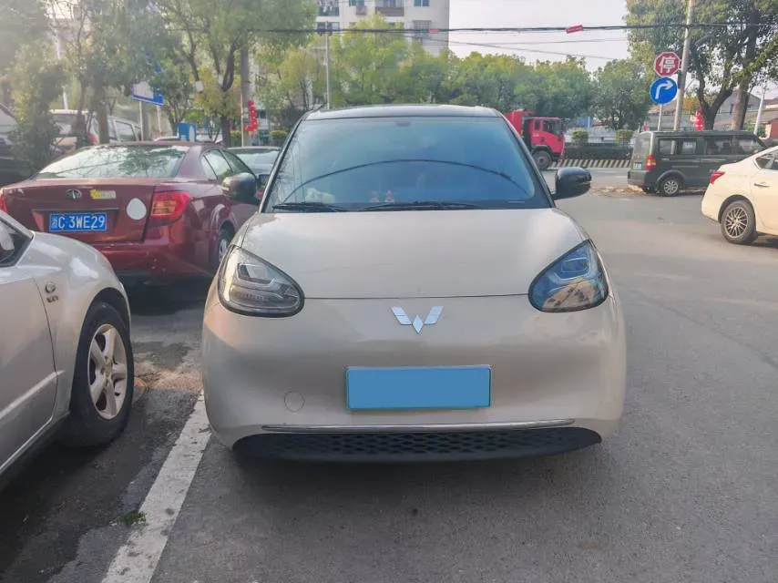 2023 WuLing BinGuo BEV 31.9KWH,autocango,china used car exporter,china ev exporter,chinese used car exporter,chinese used ev exporter