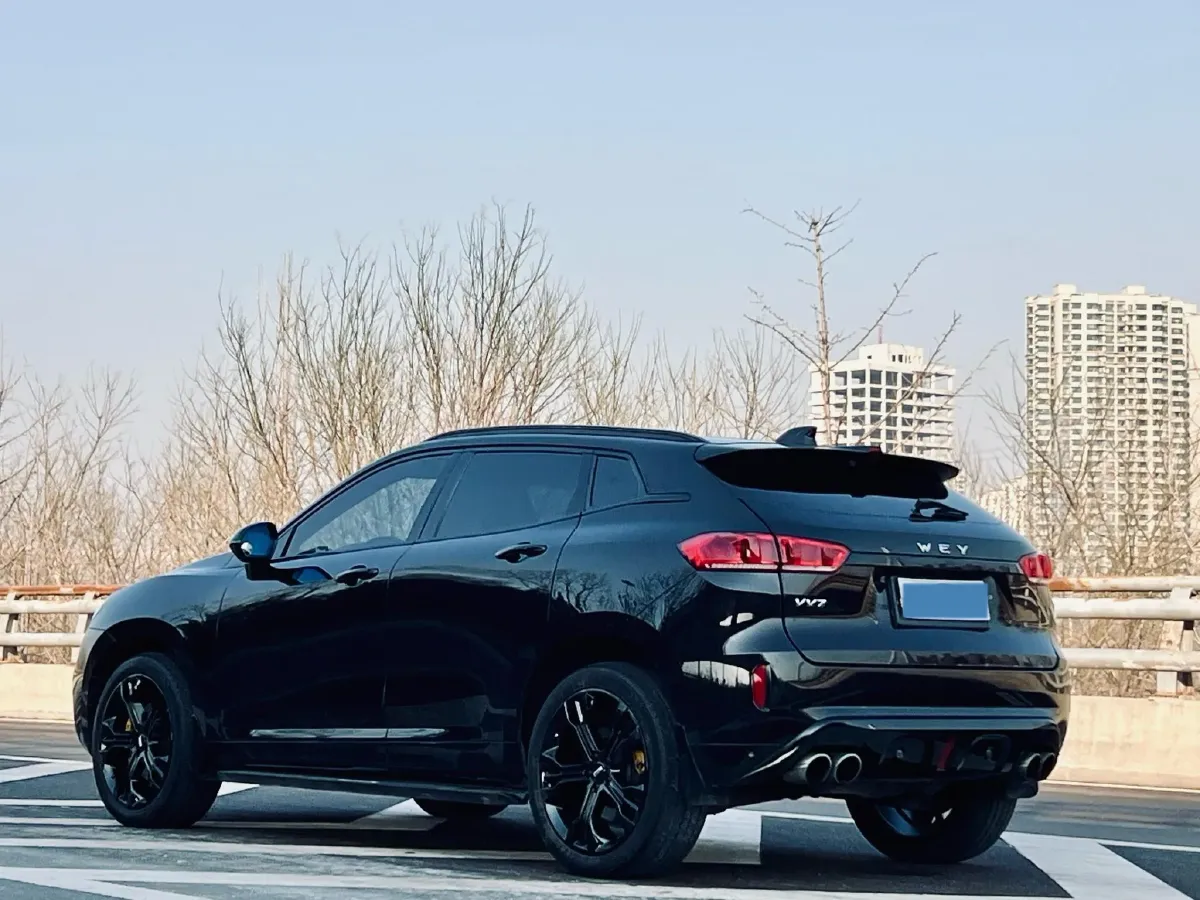 2017 WEY VV7 2.0T 234HP L4 7DCT,autocango,china used car exporter,china ev exporter,chinese used car exporter,chinese used ev exporter