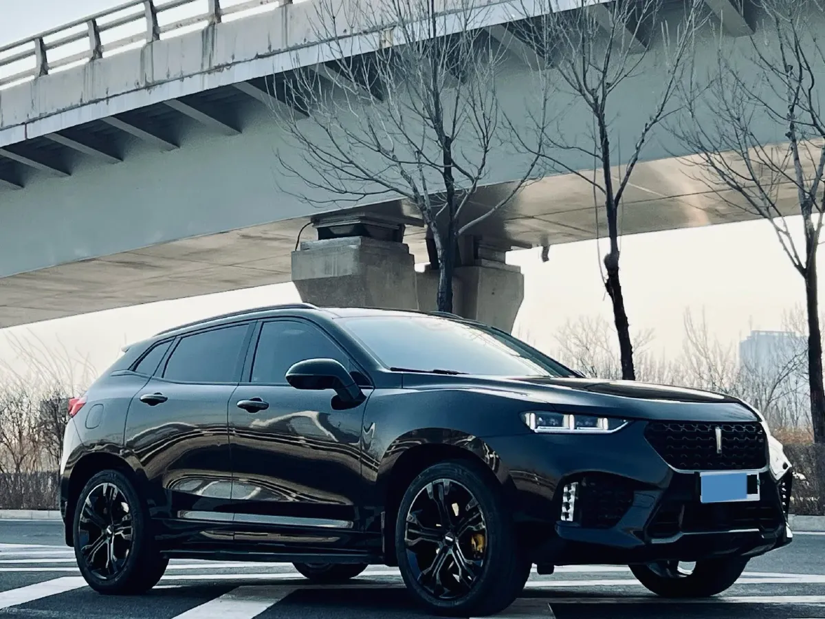 2017 WEY VV7 2.0T 234HP L4 7DCT,autocango,china used car exporter,china ev exporter,chinese used car exporter,chinese used ev exporter