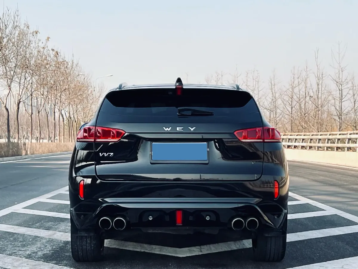 2017 WEY VV7 2.0T 234HP L4 7DCT,autocango,china used car exporter,china ev exporter,chinese used car exporter,chinese used ev exporter