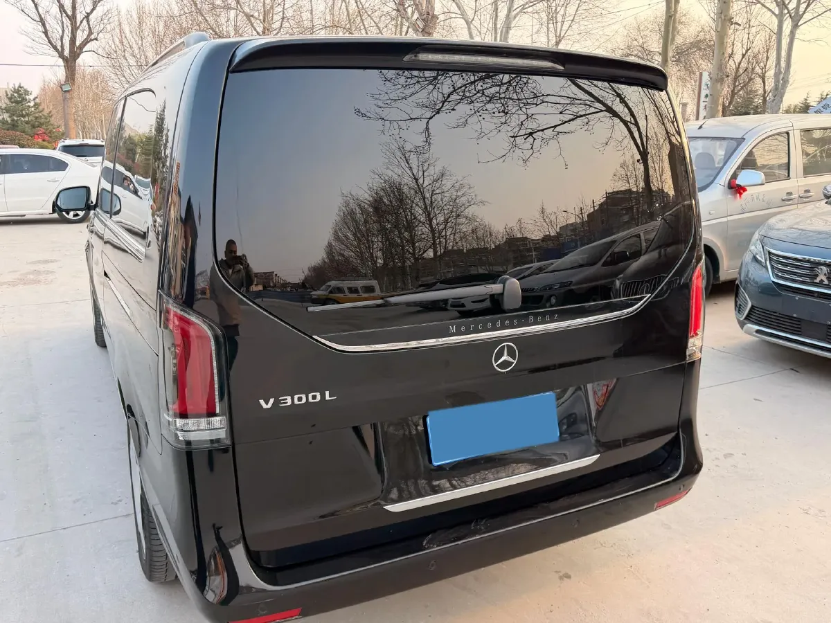 2024 Mercedes-Benz V Class 2.0T 231HP L4 9AT,autocango,china used car exporter,china ev exporter,chinese used car exporter,chinese used ev exporter