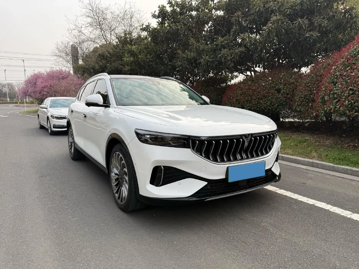 2021 Voyah FREE Range Extended 109HP REEV 33KWH,autocango,china used car exporter,china ev exporter,chinese used car exporter,chinese used ev exporter