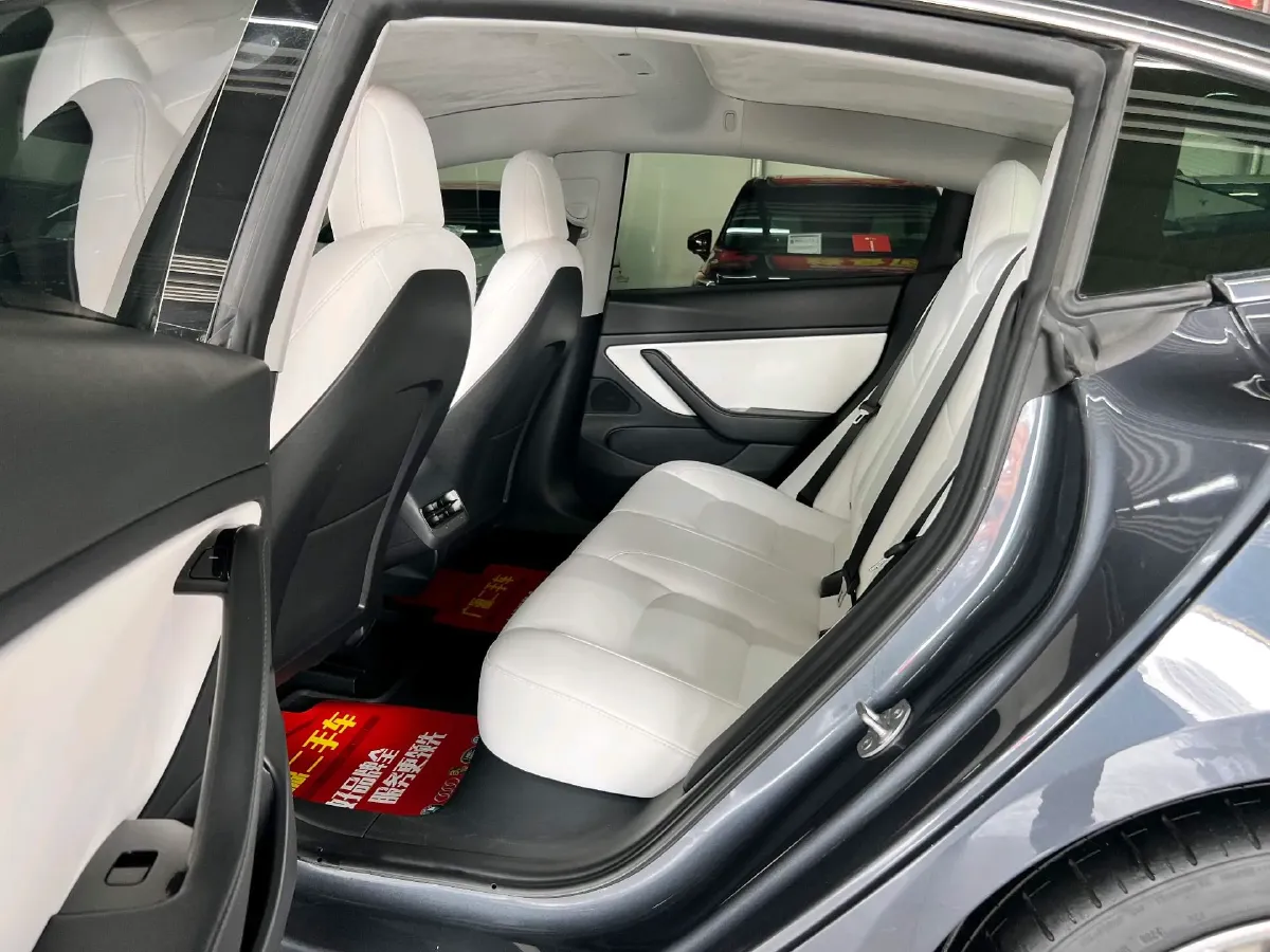 2020 Tesla Model 3 BEV 55KWH,autocango,china used car exporter,china ev exporter,chinese used car exporter,chinese used ev exporter