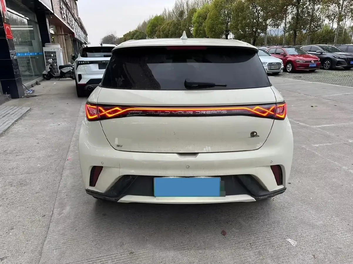 2024 BYD Dolphin BEV 44.928KWH,autocango,china used car exporter,china ev exporter,chinese used car exporter,chinese used ev exporter