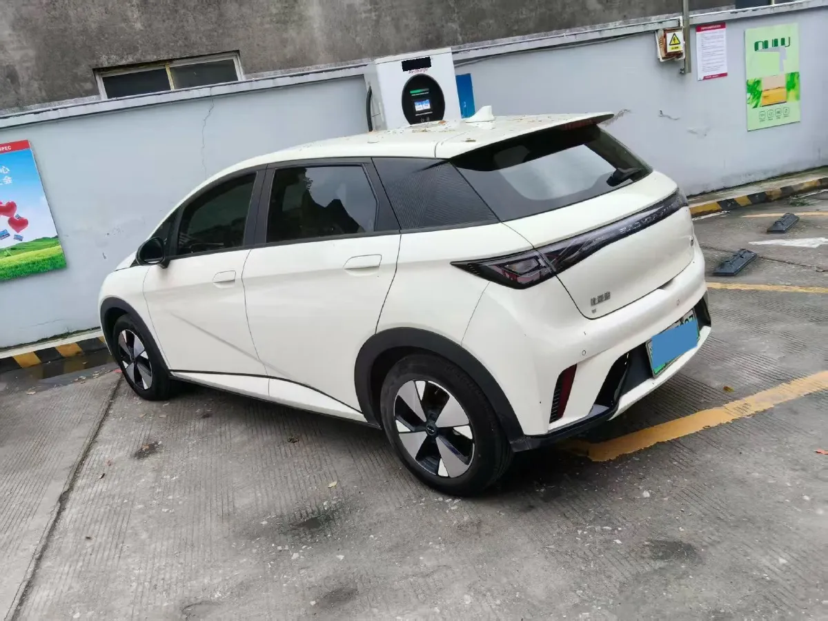 2023 BYD Dolphin BEV 44.928KWH,autocango,china used car exporter,china ev exporter,chinese used car exporter,chinese used ev exporter