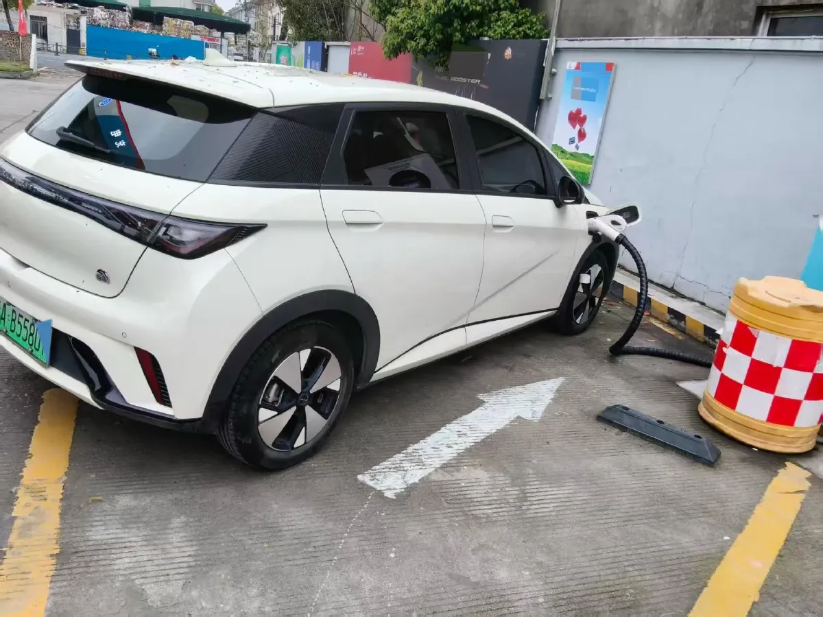 2023 BYD Dolphin BEV 44.928KWH,autocango,china used car exporter,china ev exporter,chinese used car exporter,chinese used ev exporter