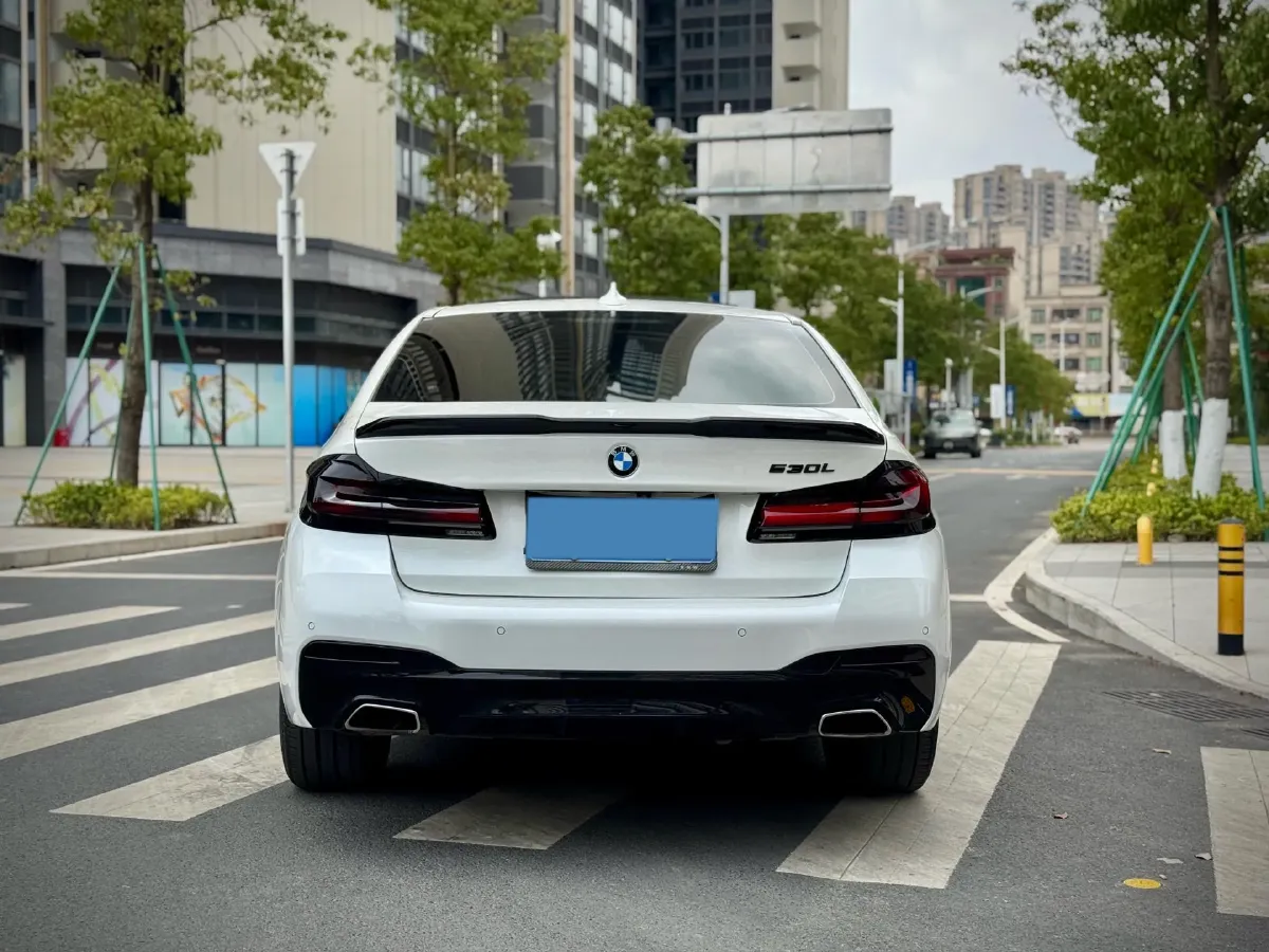 2021 BMW 5 Series 2.0T 252HP L4 8AT,autocango,china used car exporter,china ev exporter,chinese used car exporter,chinese used ev exporter