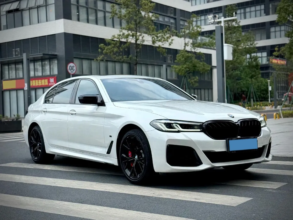2021 BMW 5 Series 2.0T 252HP L4 8AT,autocango,china used car exporter,china ev exporter,chinese used car exporter,chinese used ev exporter