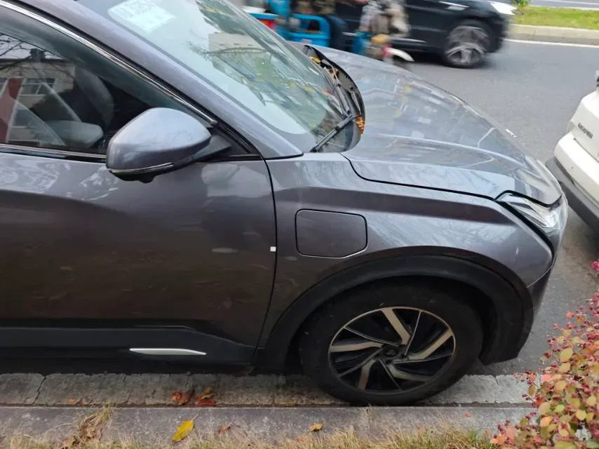 2021 DongFeng FuKang e Elysee BEV 38.4KWH,autocango,china used car exporter,china ev exporter,chinese used car exporter,chinese used ev exporter