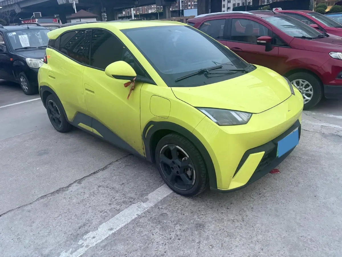 2024 BYD Seagull BEV 30.08KWH,autocango,china used car exporter,china ev exporter,chinese used car exporter,chinese used ev exporter