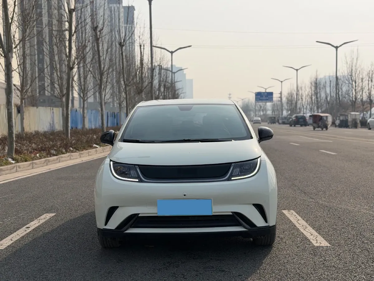 2023 BYD Dolphin BEV 44.928KWH,autocango,china used car exporter,china ev exporter,chinese used car exporter,chinese used ev exporter