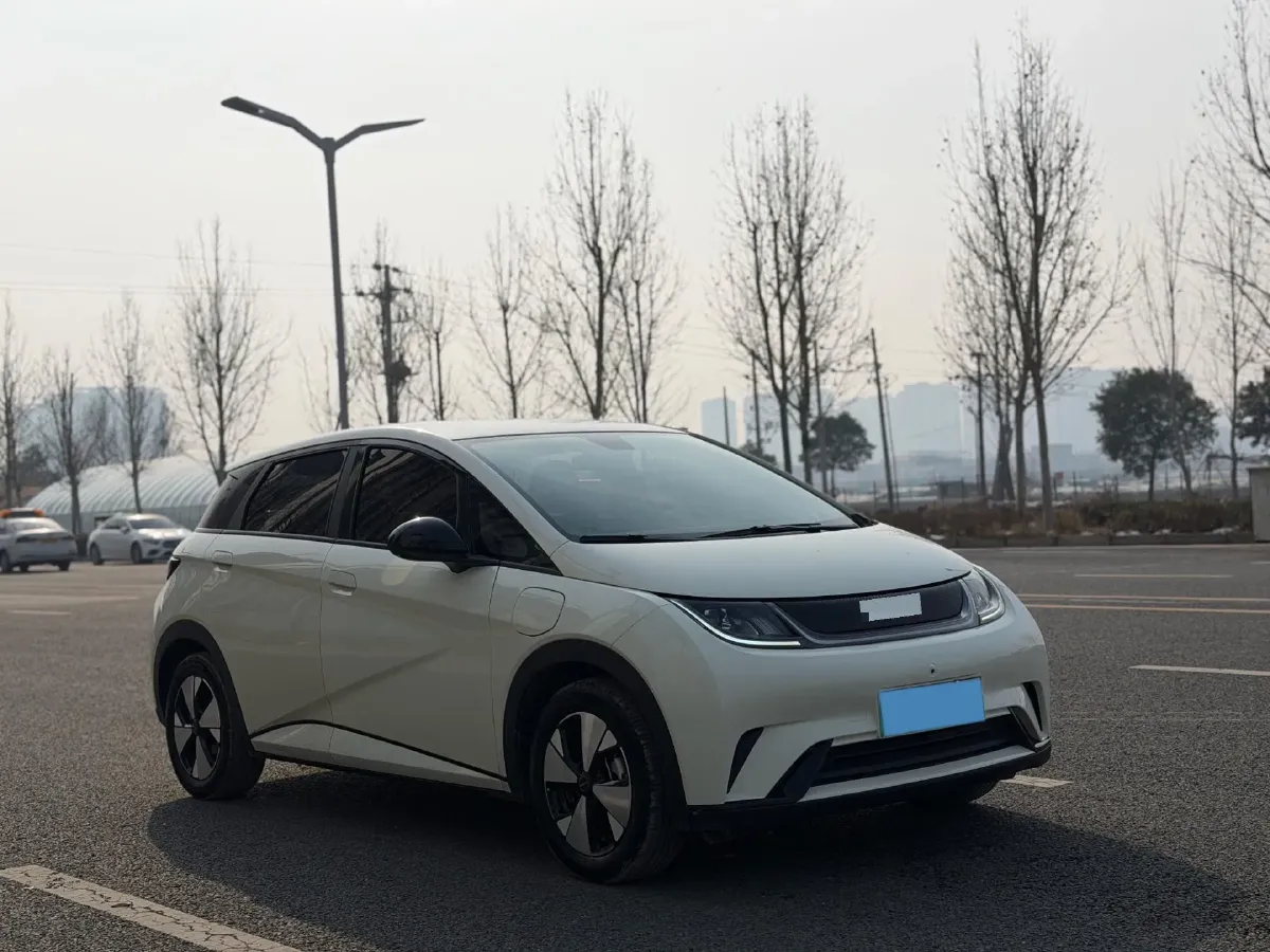 2023 BYD Dolphin BEV 44.928KWH,autocango,china used car exporter,china ev exporter,chinese used car exporter,chinese used ev exporter