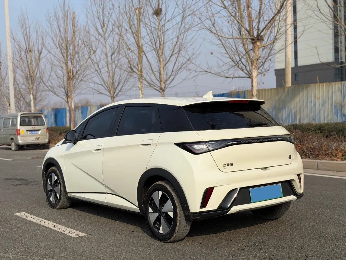 2023 BYD Dolphin BEV 44.928KWH,autocango,china used car exporter,china ev exporter,chinese used car exporter,chinese used ev exporter