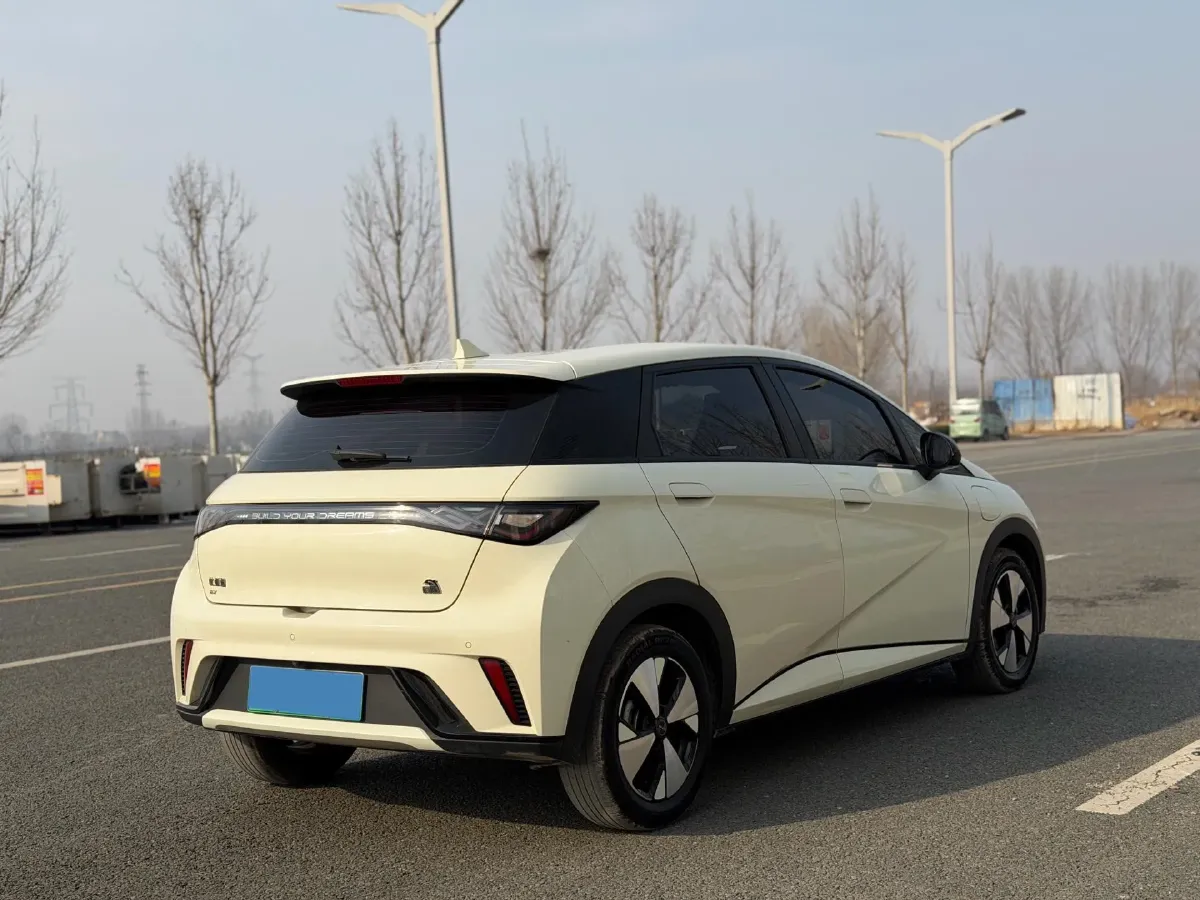 2023 BYD Dolphin BEV 44.928KWH,autocango,china used car exporter,china ev exporter,chinese used car exporter,chinese used ev exporter