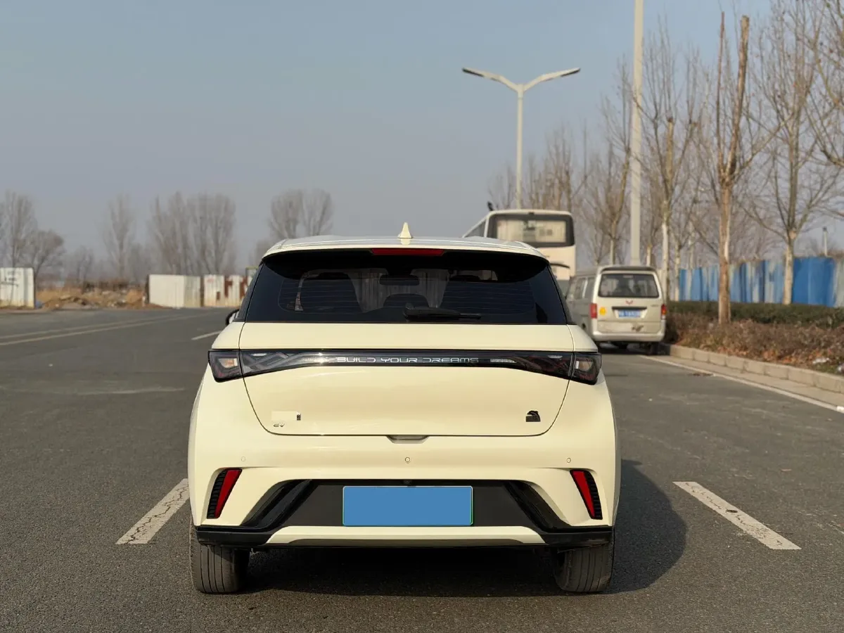 2023 BYD Dolphin BEV 44.928KWH,autocango,china used car exporter,china ev exporter,chinese used car exporter,chinese used ev exporter