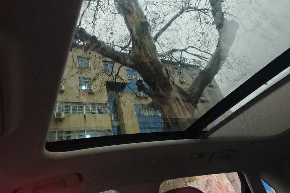 2025 HongQi HS5 2.0T 252HP L4 8AT,autocango,china used car exporter,china ev exporter,chinese used car exporter,chinese used ev exporter