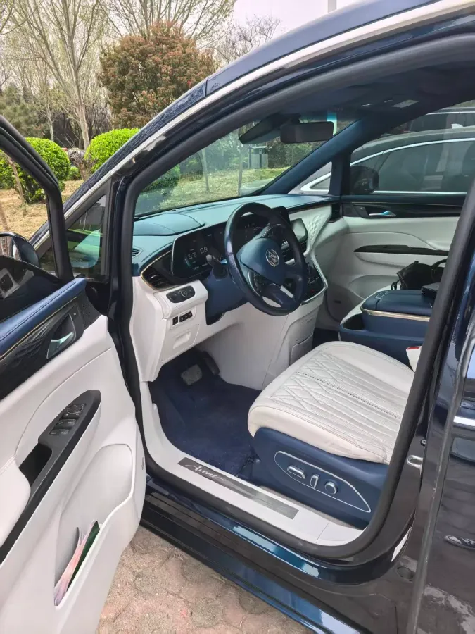 2020 Buick GL8 2.0T 237HP L4 9AT,autocango,china used car exporter,china ev exporter,chinese used car exporter,chinese used ev exporter