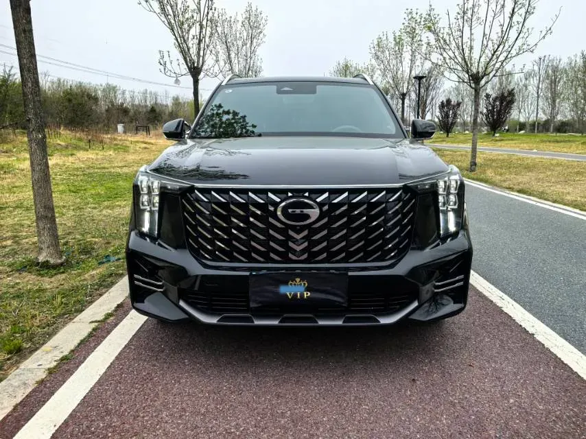 2024 GAC Trumpchi GS8 2.0T 252HP L4 8AT,autocango,china used car exporter,china ev exporter,chinese used car exporter,chinese used ev exporter