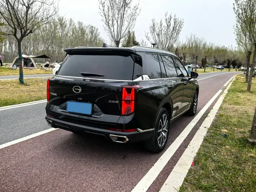2024 GAC Trumpchi GS8 2.0T 252HP L4 8AT,autocango,china used car exporter,china ev exporter,chinese used car exporter,chinese used ev exporter