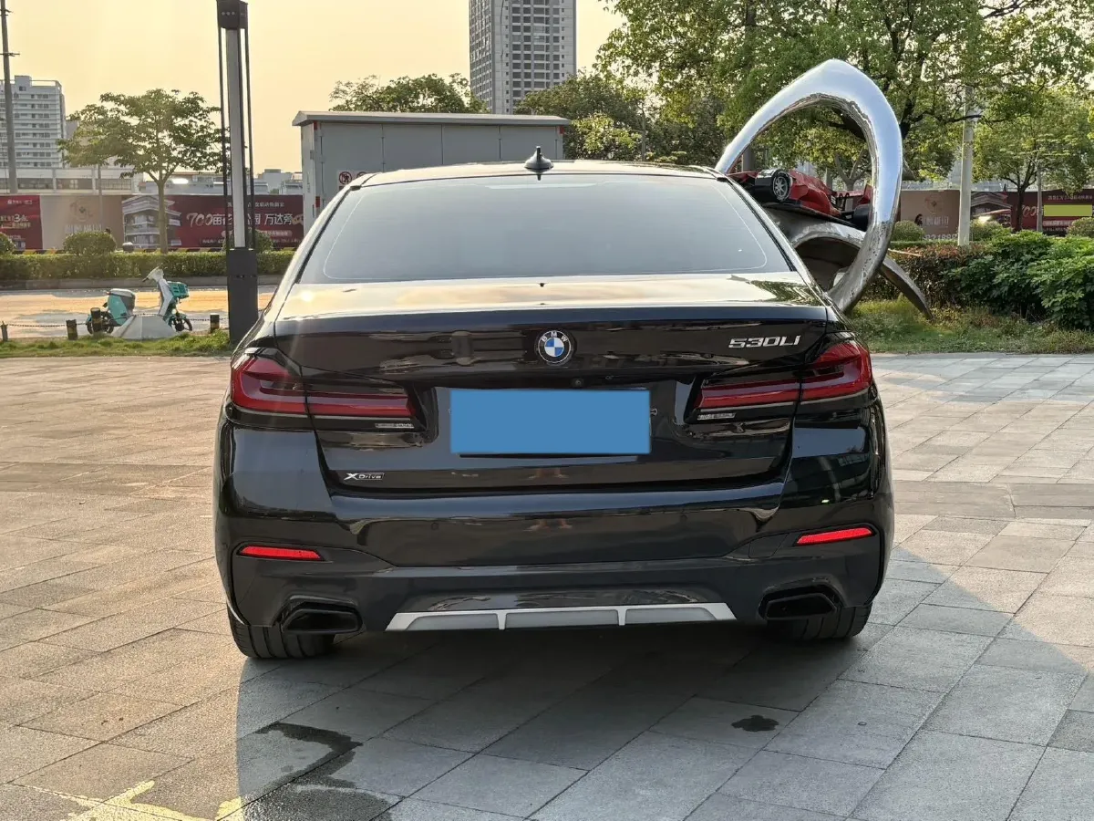 2021 BMW 5 Series 2.0T 252HP L4 8AT,autocango,china used car exporter,china ev exporter,chinese used car exporter,chinese used ev exporter