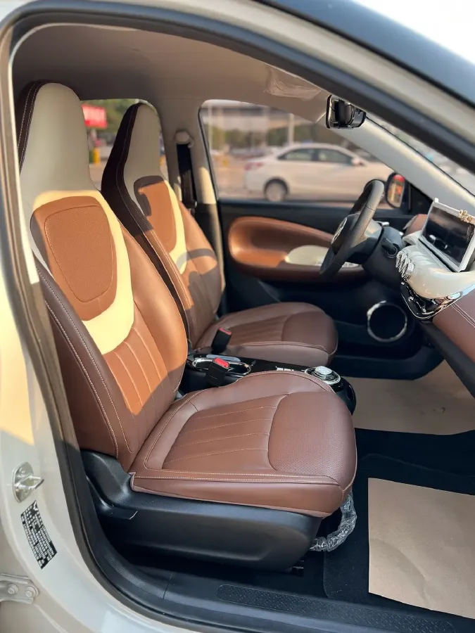 2024 WuLing BinGuo BEV 37.9KWH,autocango,china used car exporter,china ev exporter,chinese used car exporter,chinese used ev exporter