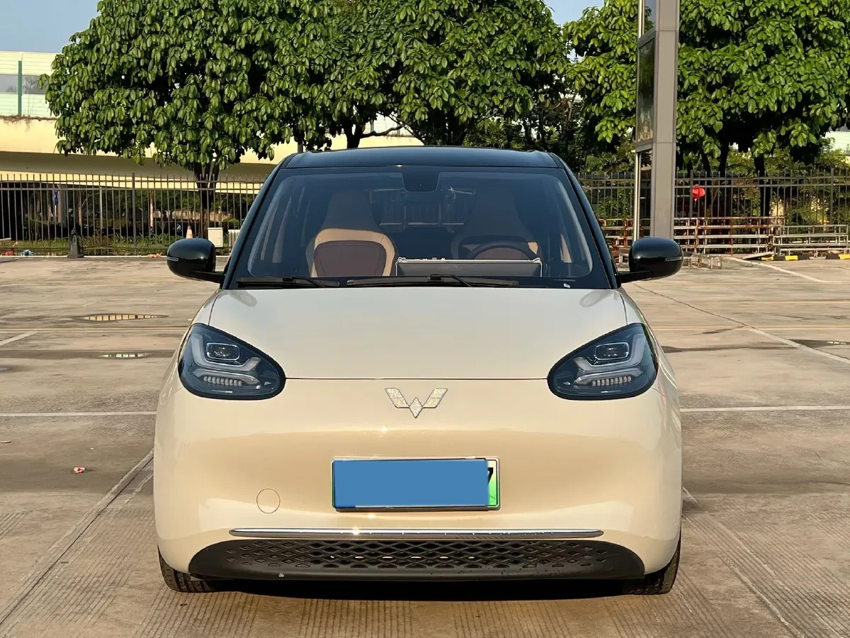 2024 WuLing BinGuo BEV 37.9KWH,autocango,china used car exporter,china ev exporter,chinese used car exporter,chinese used ev exporter