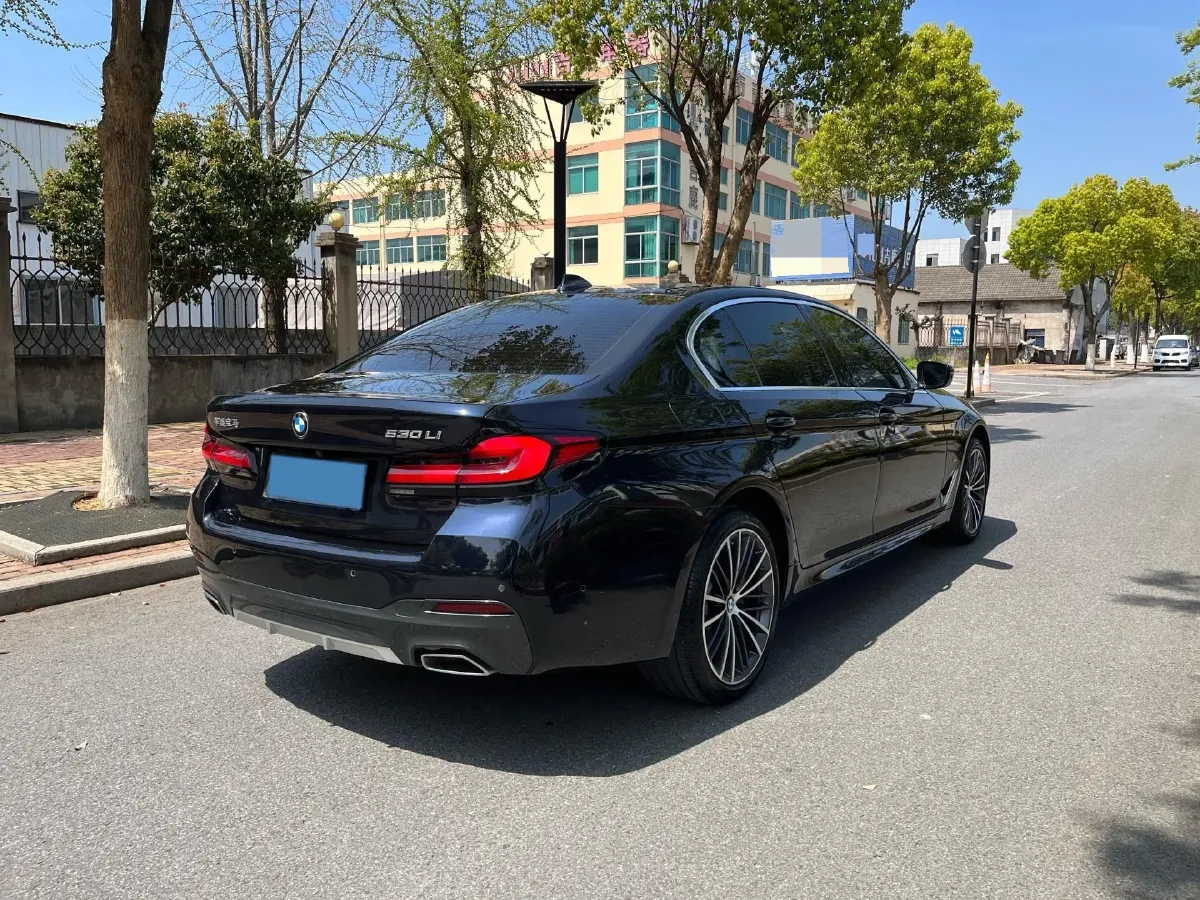 2023 BMW 5 Series 2.0T 245HP L4 8AT,autocango,china used car exporter,china ev exporter,chinese used car exporter,chinese used ev exporter